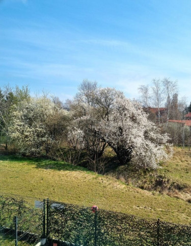 Dom Sprzedaż Warszawa Ursynów 12
